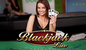 blackjack live